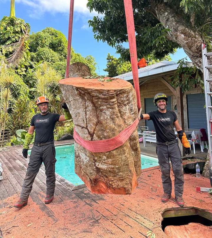 Abattage délicat pour préserver votre environnement.