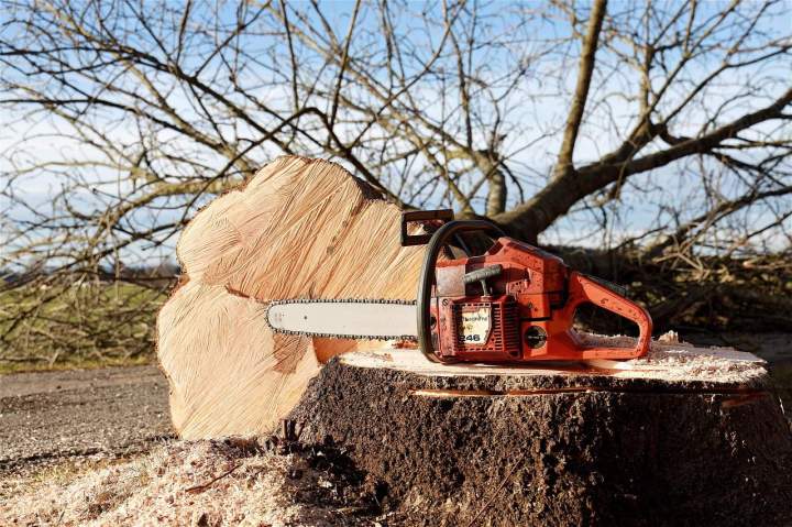 chainsaw 4815949 1280 (3)