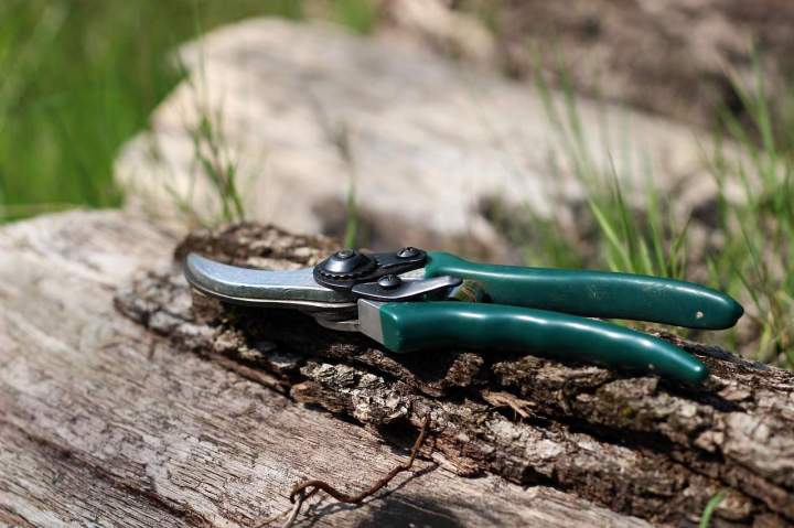 shears 1336374 1280 (1)
