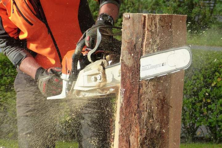 wood 1728019 1280 (2)